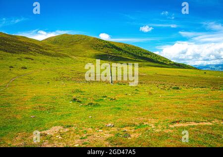 Altopiano verde con cielo blu profondo Foto Stock