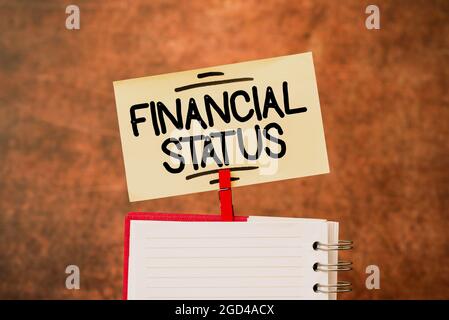 Scrittura che visualizza il testo Stato finanziario. Panoramica aziendale livello di reddito in cui i candidati sono categorizzati Brainstorming la nuova idea di Foto Stock