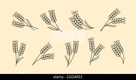 Orecchie di grano, orzo o segale icone. Concetto di cibo. Illustrazione vettoriale Illustrazione Vettoriale