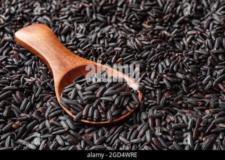 Cucchiaio di legno marrone pieno di riso nero crudo su grani di riso scuro non cotti. Ingrediente della cucina asiatica per un'alimentazione sana e una dieta vegetariana. Foto Stock