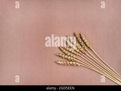 Diverse spighe di grano a mazzo, isolate su sfondo marrone. Disposizione piatta. Foto Stock