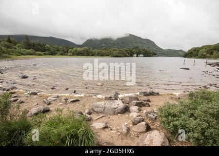 Muckross Lake, Muckross House, Killarney, Kerr, Irlanda Foto Stock
