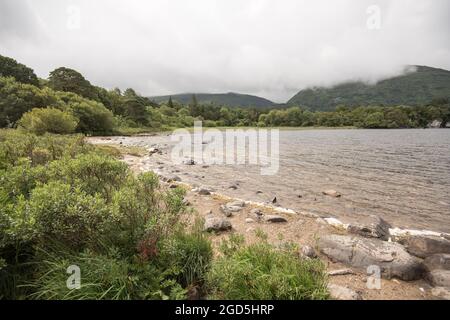 Muckross Lake, Muckross House, Killarney, Kerr, Irlanda Foto Stock