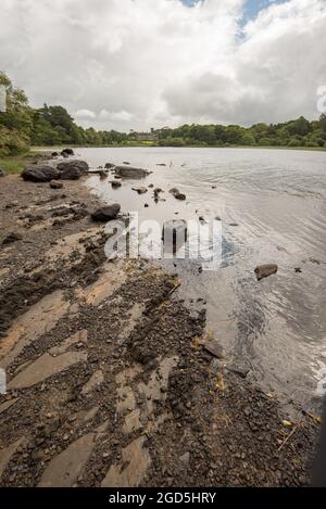 Muckross Lake, Muckross House, Killarney, Kerr, Irlanda Foto Stock