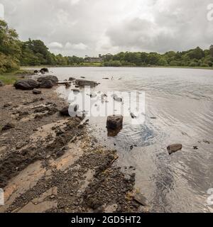 Muckross Lake, Muckross House, Killarney, Kerr, Irlanda Foto Stock