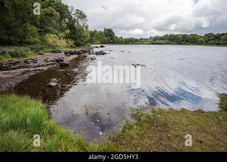 Muckross Lake, Muckross House, Killarney, Kerr, Irlanda Foto Stock
