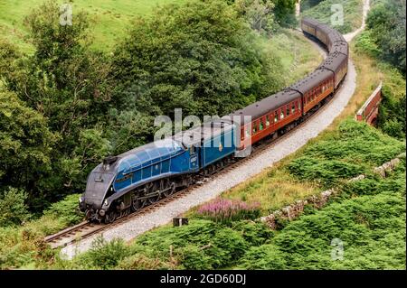 Locomotiva a vapore A4 Sir Nigel Gresley sulla ferrovia North Yorkshire Moors Foto Stock