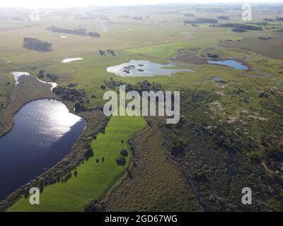 Lago dall'alto circondato da campi verdi Foto Stock