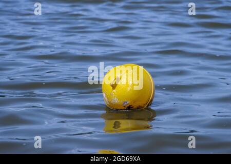 Una boa gialla galleggia su una superficie d'acqua in un lago. Foto Stock