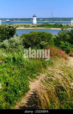 Fiori vicino al faro di Edgartown Harbour sul vigneto Martha's Foto Stock