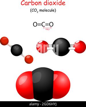 Anidride carbonica. Formula chimica strutturale di CO2. Modello di molecola. Chimica. Poster per l'istruzione. Impostare le icone. Vettore Illustrazione Vettoriale