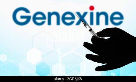 Brasile. 11 Agosto 2021. In questa illustrazione fotografica, una silhouette di una mano che tiene una siringa medica è visualizzata davanti al logo della Genexine Company su uno schermo. Credit: SOPA Images Limited/Alamy Live News Foto Stock