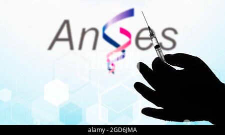 Brasile. 11 Agosto 2021. In questa illustrazione fotografica, una silhouette di una mano che tiene una siringa medica visualizzata davanti al logo aziendale di Anges MG su uno schermo. Credit: SOPA Images Limited/Alamy Live News Foto Stock