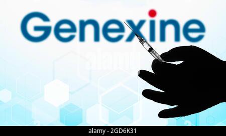 Brasile. 11 Agosto 2021. In questa illustrazione fotografica, una silhouette di una mano che tiene una siringa medica è visualizzata davanti al logo della Genexine Company su uno schermo. (Foto di Rafael Henrique/SOPA Images/Sipa USA) Credit: Sipa USA/Alamy Live News Foto Stock