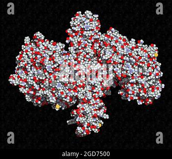 Proteina neurotossica della tossina botulinica, resa 3D. Foto Stock