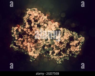 Complesso proteico gamma secretasi. Illustrazione 3D. Foto Stock