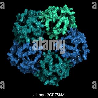 Biomarcatore dell'infiammazione della proteina C-reattiva (CRP, umana), resa 3D Foto Stock