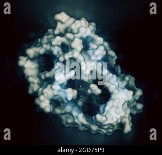 Molecola di interferone alfa 2a (IFNA2), rendering 3D. Foto Stock