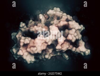 Proteina citochina interleuchina 4 (il-4). Illustrazione 3D. Foto Stock