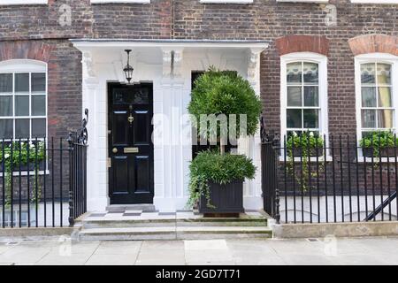 Due porte anteriori l'una accanto all'altra con piantatrice di grandi alberi sul lato destro vicino Londra Inghilterra Foto Stock