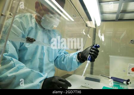 CAMP LEMONNIER, Gibuti (23 aprile 2021) U.S. Navy Lt. Jae Dugan, di Portland, Ore., prepara i pozzetti con più campioni di tampone per il test COVID-19 presso la Naval Medical Research Unit (NAMRU) di Camp Lemonnier il 23 aprile 2021. Il team NAMRU ha effettuato migliaia di test di laboratorio dalla primavera del 2020. A supporto dei combattenti militari statunitensi, il NAMRU ricerca e traccia di malattie infettive, problemi di salute ambientale, epidemiologia e scienze comportamentali, per supportare il personale militare dispiegato in Africa, Medio Oriente e Asia sudoccidentale. (STATI UNITI Foto Navy di Mass Communication Specialist 1 Foto Stock