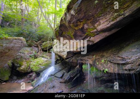 Cascate di Otter in Seven Devils North Carolina, Stati Uniti vicino a Banner Elk Foto Stock