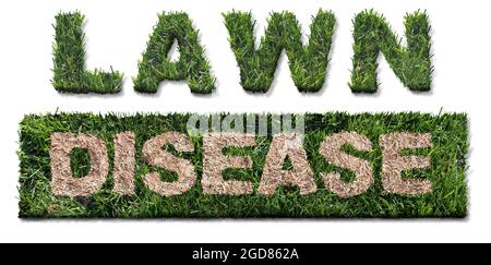 Simbolo di malattia del prato come danno di grub come larva di chinch che danneggia le radici dell'erba causando una macchia marrone e l'area di siccità nel tappeto erboso come immagine composita. Foto Stock