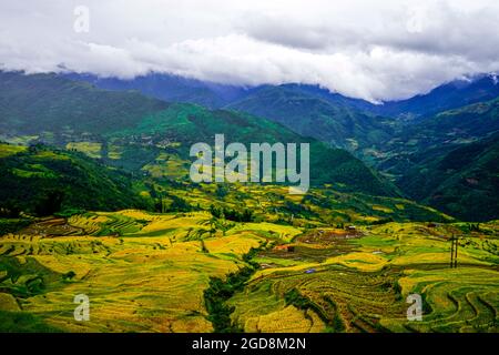 Y Ty bella terrazza di riso nella provincia di Lao Cai nord del Vietnam Foto Stock