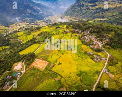 Y Ty bella terrazza di riso nella provincia di Lao Cai nord del Vietnam Foto Stock