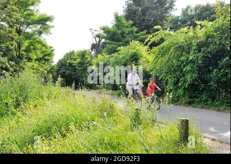 FRANCIA, YVELINES (78) CROISSY-SUR-SEINE, RIVE DELLA SENNA, AVENUE VERTE PISTA CICLABILE Foto Stock