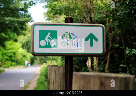 FRANCIA, YVELINES (78) CROISSY-SUR-SEINE, RIVE DELLA SENNA, AVENUE VERTE PISTA CICLABILE Foto Stock