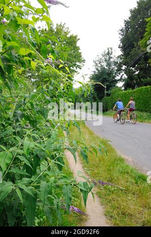 FRANCIA, YVELINES (78) CROISSY-SUR-SEINE, RIVE DELLA SENNA, AVENUE VERTE PISTA CICLABILE Foto Stock