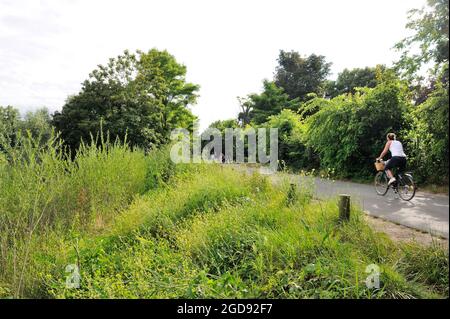FRANCIA, YVELINES (78) CROISSY-SUR-SEINE, RIVE DELLA SENNA, AVENUE VERTE PISTA CICLABILE Foto Stock