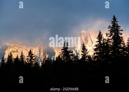 Nebbia all'alba che copre il gruppo del Popera e la Croda Rossa di Sesto incorniciata da alberi, Dolomiti di Sesto, Alto Adige, Italia Foto Stock