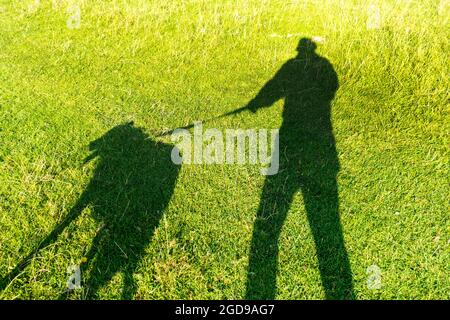 Batheaston, Inghilterra, tempo del Regno Unito. 12 agosto 2021. Ombra di un cane camminatore su Little Solsbury Hill in una bella mattina di sole. Credit: Richard Wayman/Alamy Live News Foto Stock