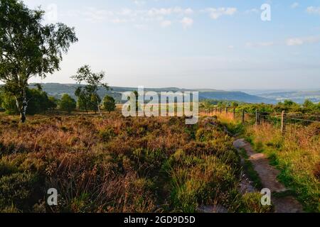 Misty mattina estiva sul Derbyshire da una collina ricoperta di felci e di erica vicino a Surprise View. Foto Stock