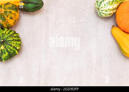 Decorazioni natalizie in autunno con zucche su sfondo grigio in cemento. Composizione autunnale a posa piatta con spazio per la copia. Foto Stock