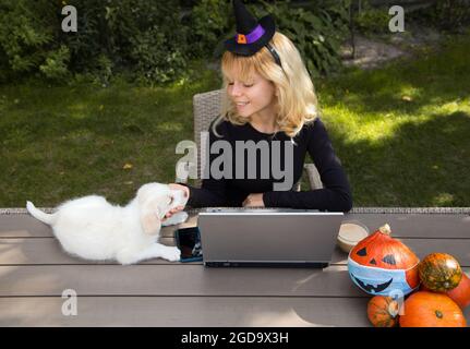 Giovane bella donna nel cappello di strega. Siede al tavolo in giardino, lavora al computer portatile. Accanto alla tastiera c'è un piccolo cucciolo bianco. Amicizia di donna e animale. A lo Foto Stock