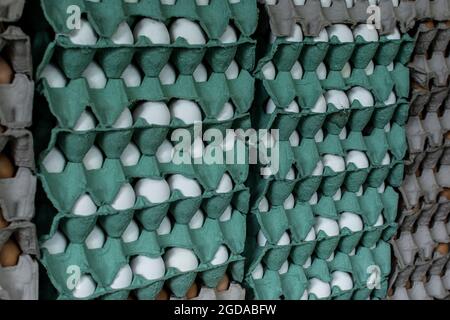 molte dozzine di uova bianche nelle scatole per la vendita al mercato aperto. Camaçari, Bahia, Brasile. Foto Stock