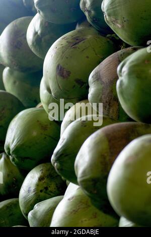 Un sacco di noci di cocco verdi per la vendita in uno stallo nel mercato aperto. Camaçari, Bahia, Brasile. Foto Stock