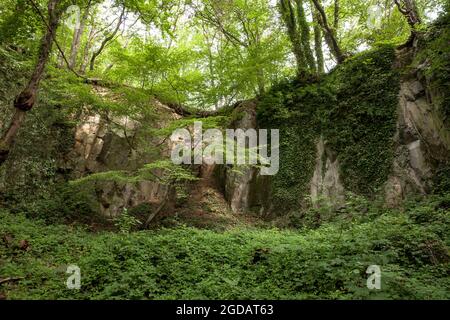 Canyon roccioso del monte Stenzelberg nella catena montuosa di Siebengebirge vicino a Koenigswinter, la montagna serviva come cava per latite di quarzo fino al Th Foto Stock