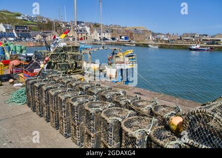 Porto di Gourdon, barche di pesca creels, Aberdeenshire, Highland Region, Scozia UK Foto Stock