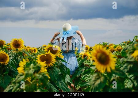 Vista posteriore di una donna in abito azzurro che tocca un ampio cappello tra girasoli Foto Stock