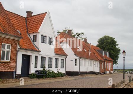 Accogliente strada acciottolata con case bianche e rosse coltivate a rose a Ribe, Danimarca Foto Stock