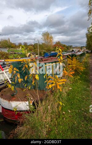 grand union canal, barche sul canale braunston, narghboats sul canale grand union, narghboats a braunston northamptonshire, barche sul canale ormeggiate su un alzaia. Foto Stock