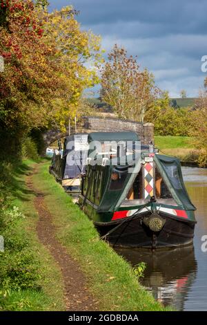 grand union canal, barche sul canale braunston, narghboats sul canale grand union, narghboats a braunston northamptonshire, barche sul canale ormeggiate su un alzaia. Foto Stock