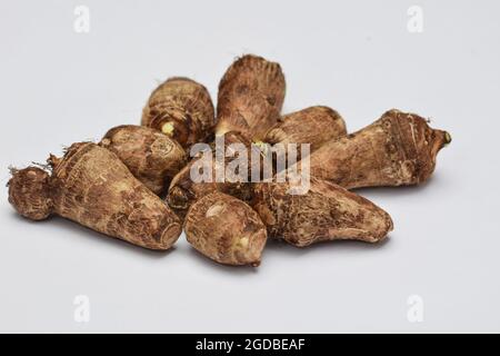 Radice Taro su sfondo bianco. Colocasia elefante pianta rizoma radice vegetale conosciuto anche come Arbi o Arvi. Asia meridionale, Medio Oriente asiatico vegetabl Foto Stock