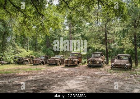 Vecchi camion Ford arrugginiti Foto Stock