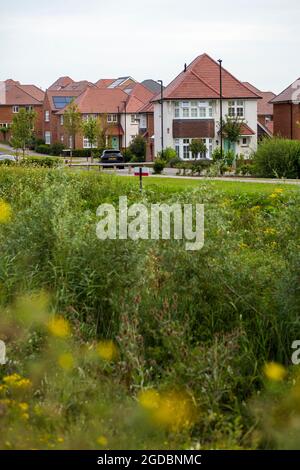 New homes at Ebbsleet Valley è una nuova città e area di riqualificazione in Kent, Inghilterra sudorientale, e parte del Thames Gateway, a sud-ovest di Gravesend. Lo sviluppo è coordinato dalla Ebbsfleet Development Corporation. Foto Stock