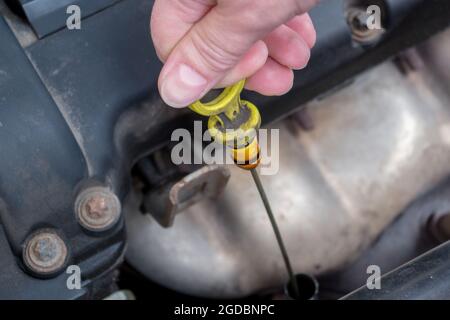 La mano donna tiene l'astina di livello olio in metallo lunga con l'impugnatura gialla estesa dalla presa, sotto il cofano dell'auto contro lo sfondo del corpo del motore. Concetto: Donna Foto Stock